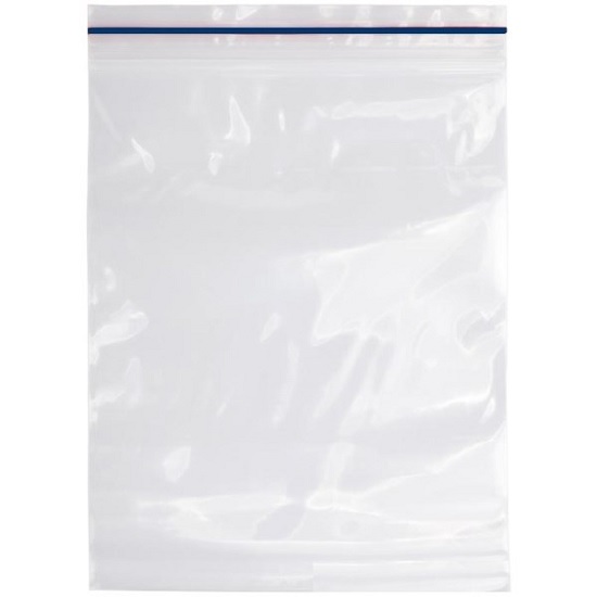 100pkt Zip lock bag 255x355 2202875