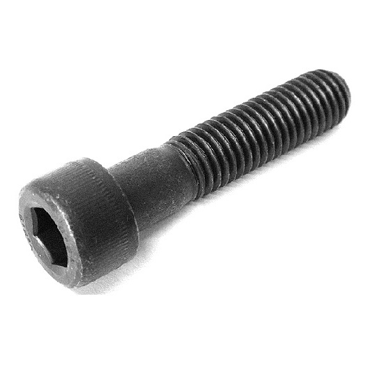 M12x100mm SOCKET HEAD CAP SCREWS