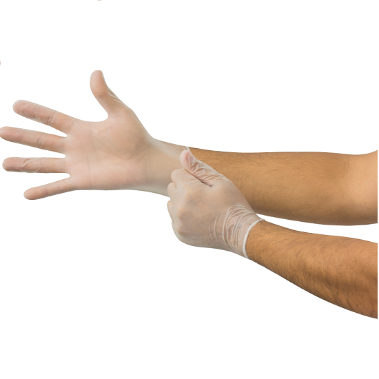 Ansell Fresh Touch Clear 850X Disposable Glove
