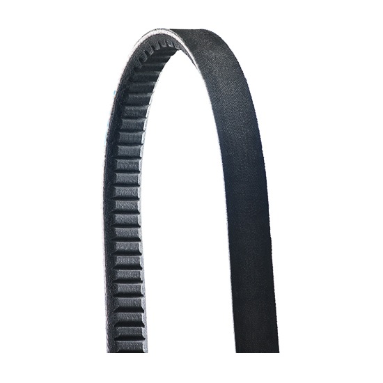 BX COG V BELT 56”